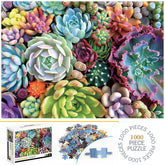1000 Teile Puzzle - Sukkulenten